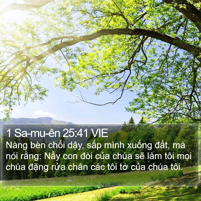 1 Sa-mu-ên 25:41 VIE Bible Study