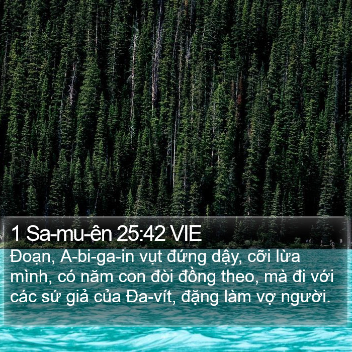 1 Sa-mu-ên 25:42 VIE Bible Study