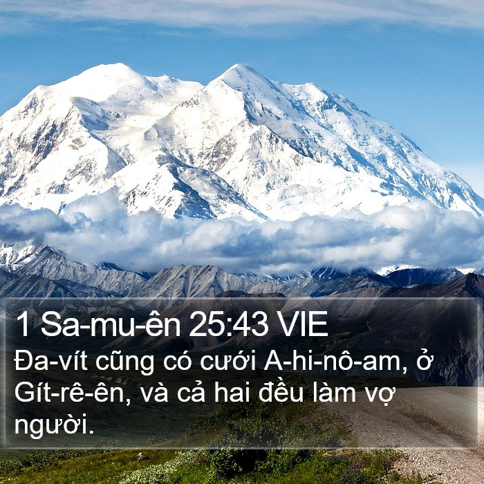 1 Sa-mu-ên 25:43 VIE Bible Study