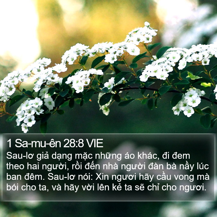 1 Sa-mu-ên 28:8 VIE Bible Study