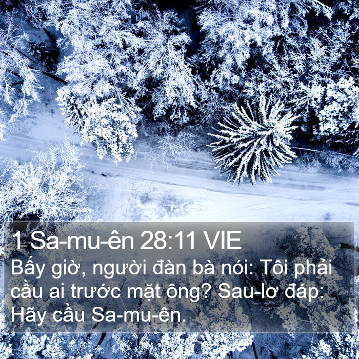 1 Sa-mu-ên 28:11 VIE Bible Study