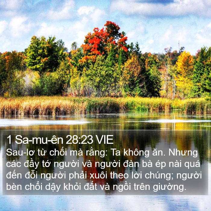 1 Sa-mu-ên 28:23 VIE Bible Study