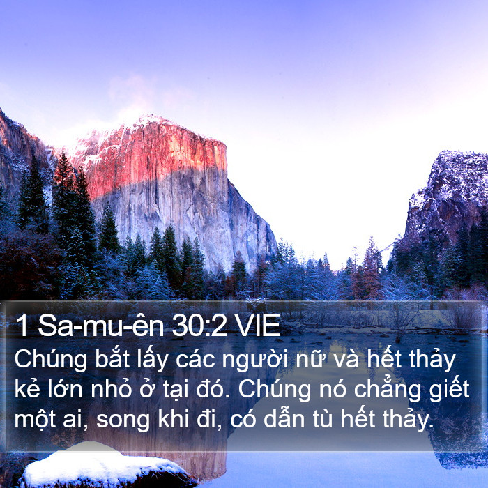 1 Sa-mu-ên 30:2 VIE Bible Study