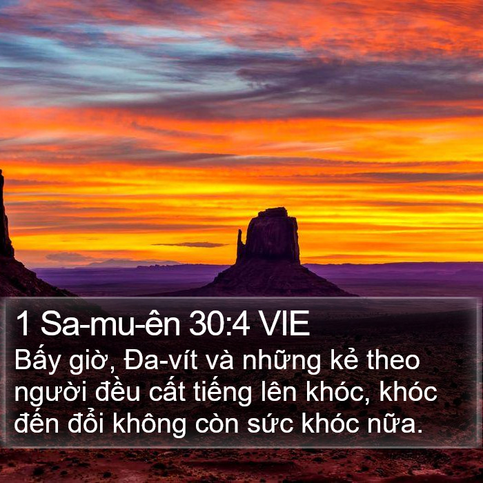 1 Sa-mu-ên 30:4 VIE Bible Study