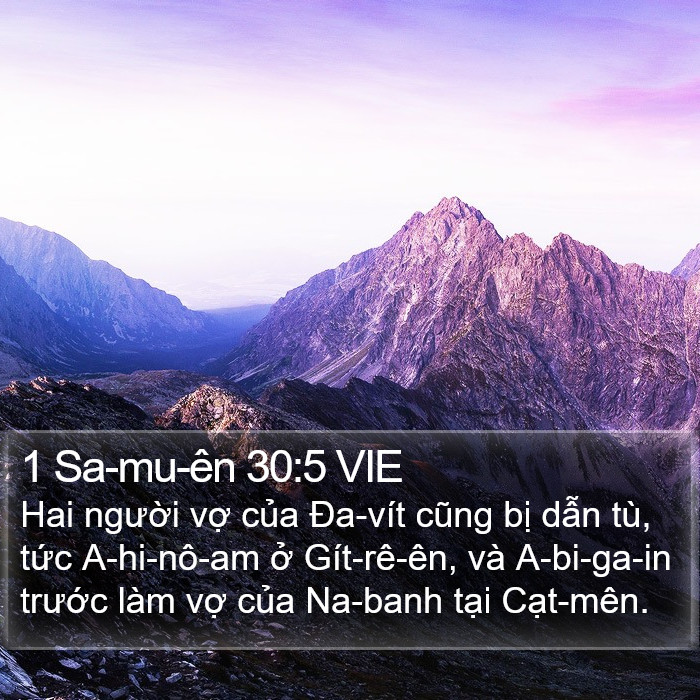 1 Sa-mu-ên 30:5 VIE Bible Study