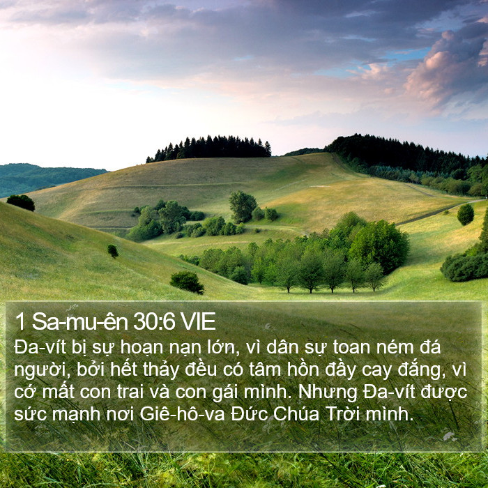 1 Sa-mu-ên 30:6 VIE Bible Study