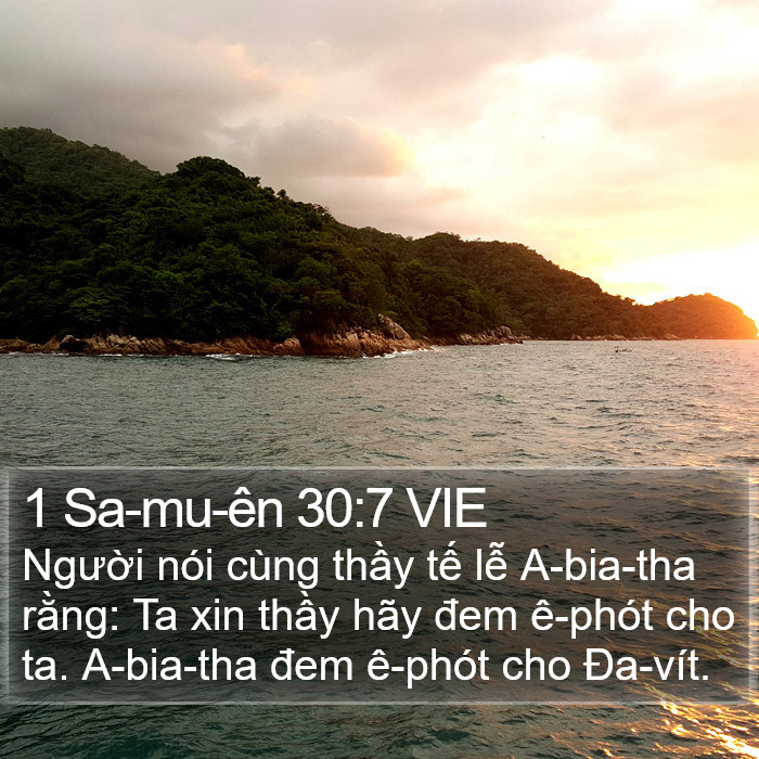 1 Sa-mu-ên 30:7 VIE Bible Study