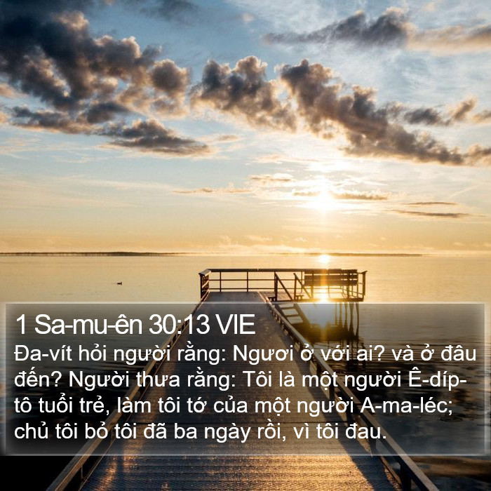 1 Sa-mu-ên 30:13 VIE Bible Study