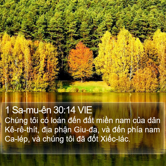 1 Sa-mu-ên 30:14 VIE Bible Study