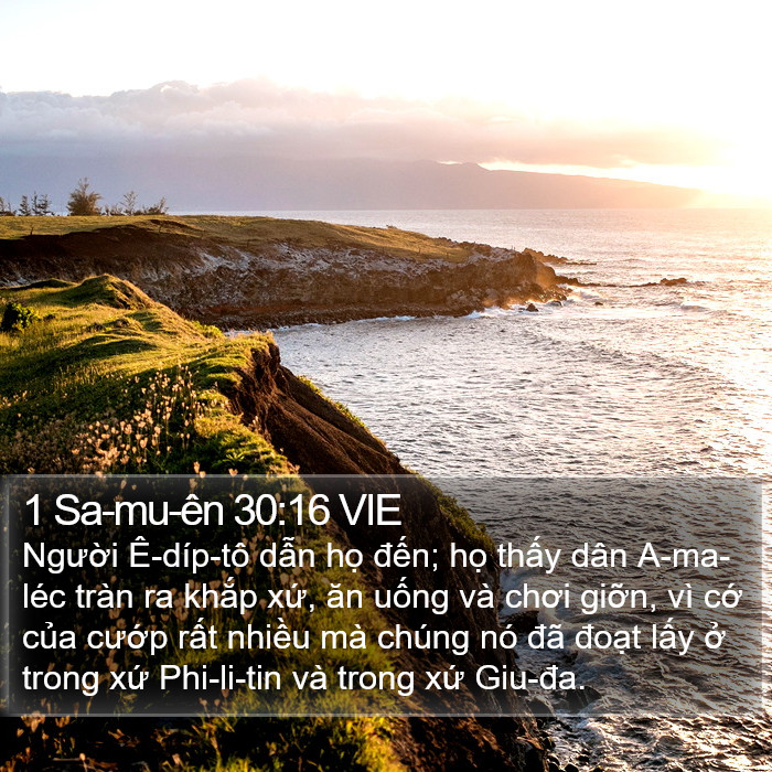 1 Sa-mu-ên 30:16 VIE Bible Study