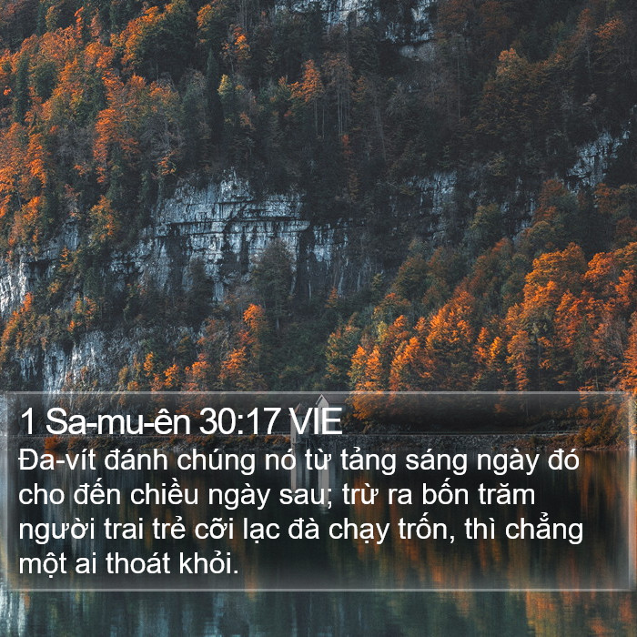 1 Sa-mu-ên 30:17 VIE Bible Study