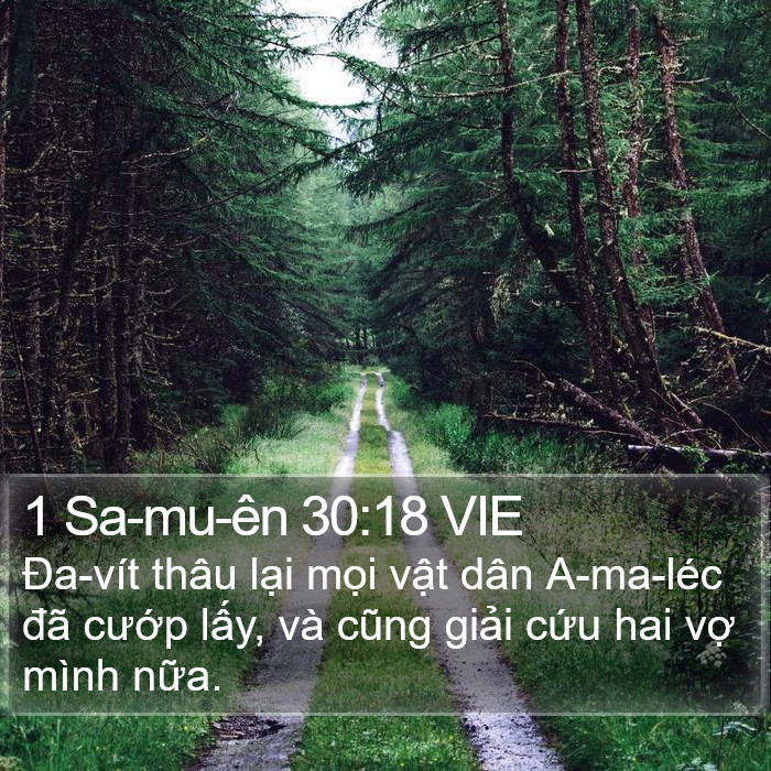 1 Sa-mu-ên 30:18 VIE Bible Study