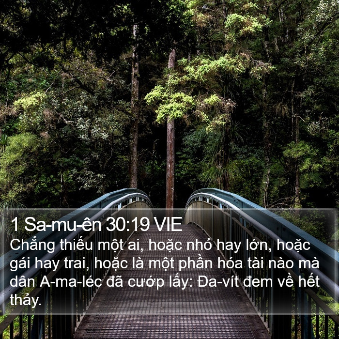 1 Sa-mu-ên 30:19 VIE Bible Study