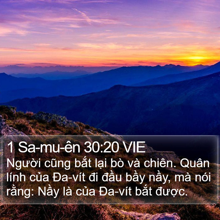 1 Sa-mu-ên 30:20 VIE Bible Study