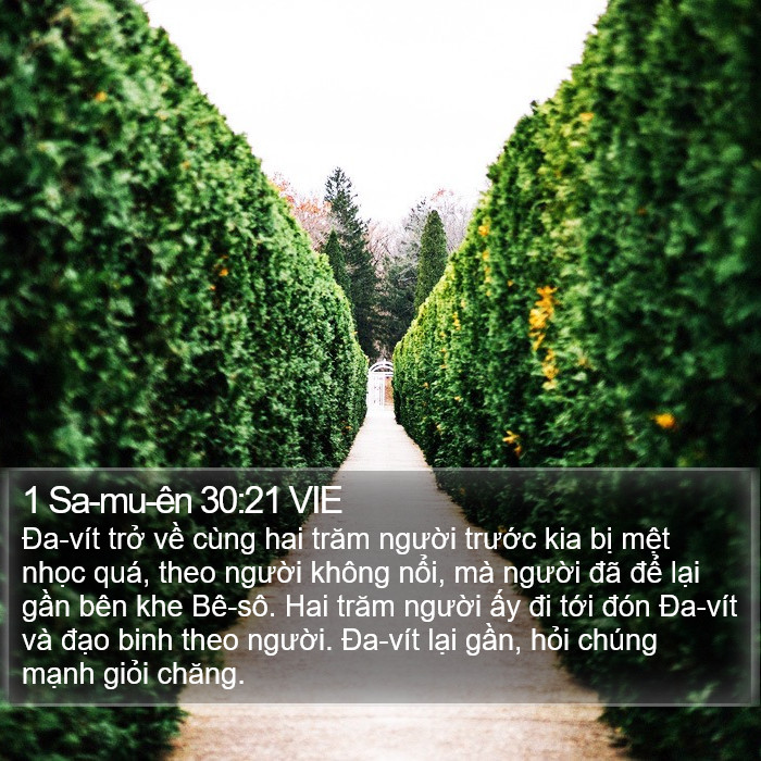 1 Sa-mu-ên 30:21 VIE Bible Study