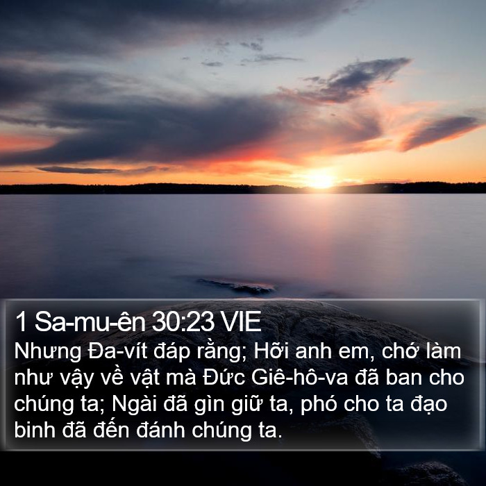 1 Sa-mu-ên 30:23 VIE Bible Study