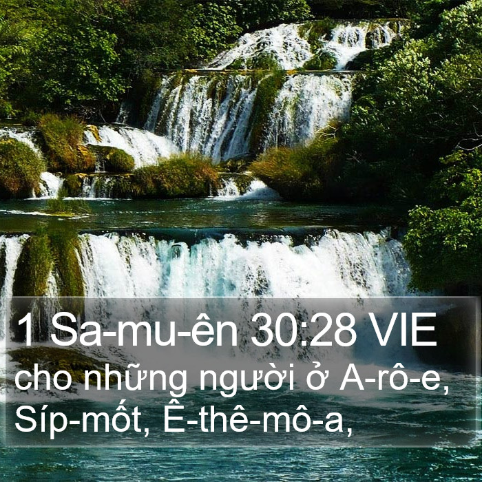 1 Sa-mu-ên 30:28 VIE Bible Study