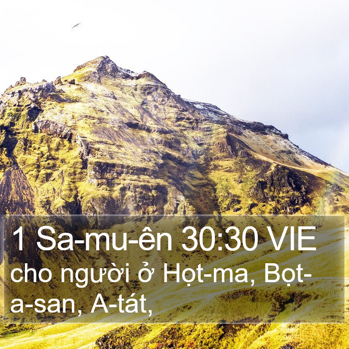 1 Sa-mu-ên 30:30 VIE Bible Study