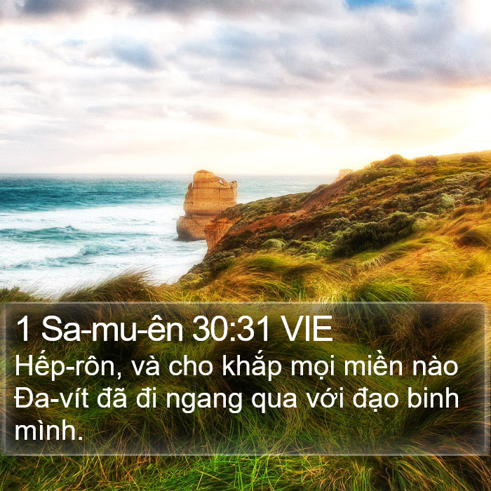 1 Sa-mu-ên 30:31 VIE Bible Study