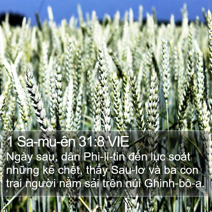 1 Sa-mu-ên 31:8 VIE Bible Study