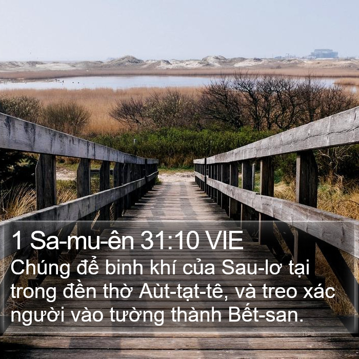 1 Sa-mu-ên 31:10 VIE Bible Study