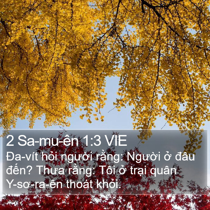 2 Sa-mu-ên 1:3 VIE Bible Study