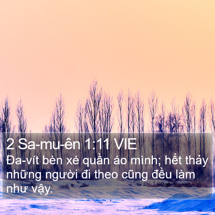 2 Sa-mu-ên 1:11 VIE Bible Study