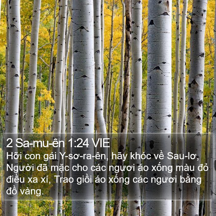 2 Sa-mu-ên 1:24 VIE Bible Study