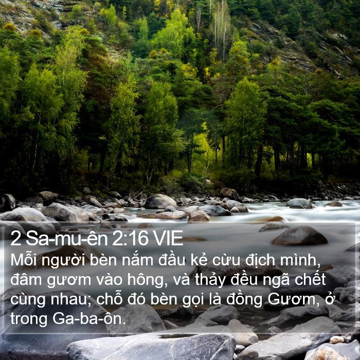 2 Sa-mu-ên 2:16 VIE Bible Study