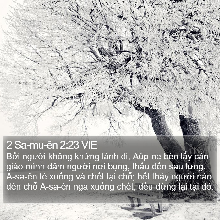 2 Sa-mu-ên 2:23 VIE Bible Study