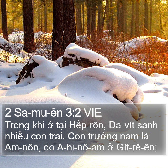 2 Sa-mu-ên 3:2 VIE Bible Study