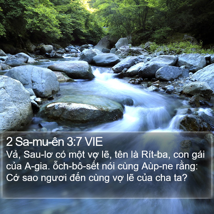 2 Sa-mu-ên 3:7 VIE Bible Study