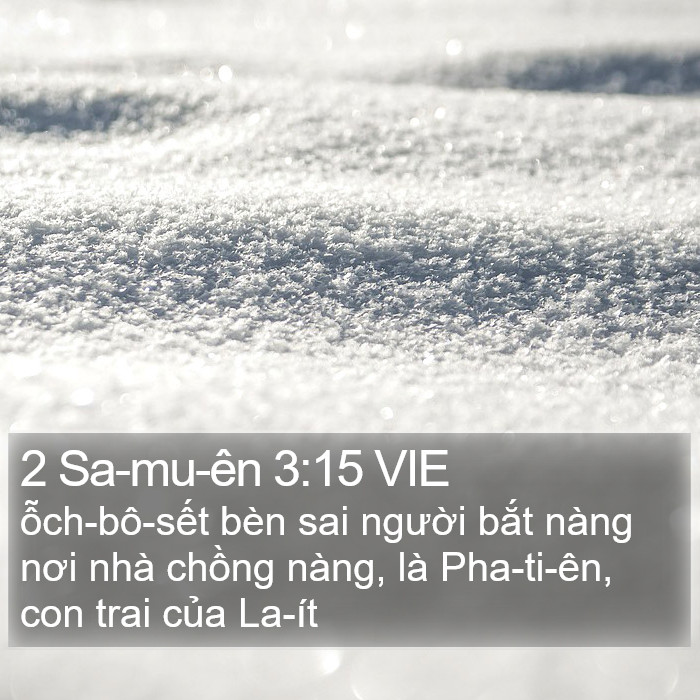 2 Sa-mu-ên 3:15 VIE Bible Study