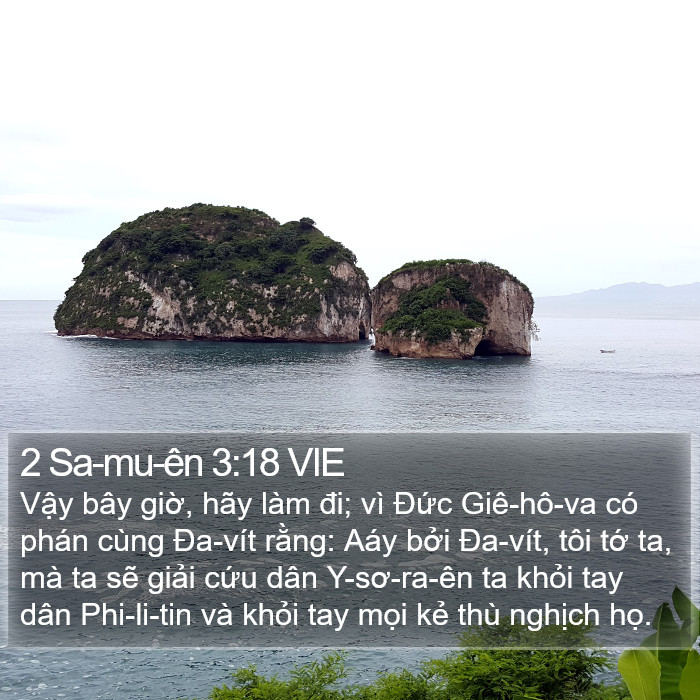 2 Sa-mu-ên 3:18 VIE Bible Study