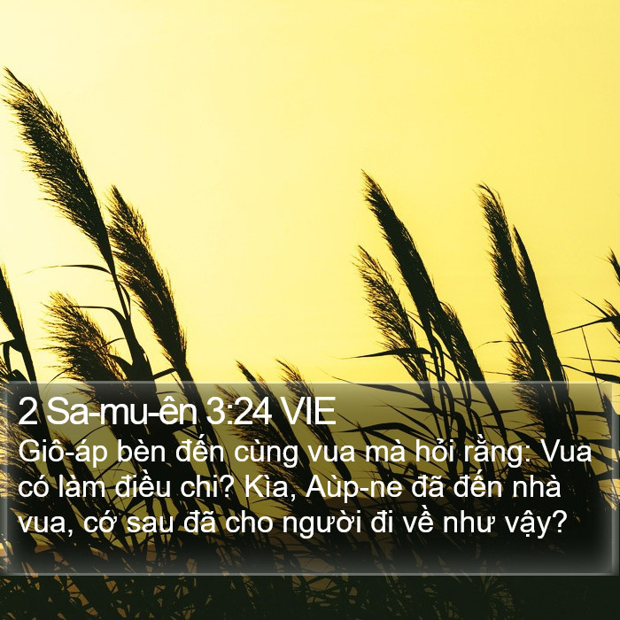 2 Sa-mu-ên 3:24 VIE Bible Study