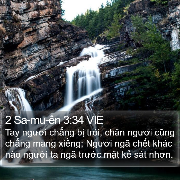 2 Sa-mu-ên 3:34 VIE Bible Study