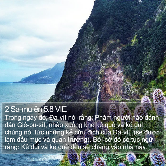 2 Sa-mu-ên 5:8 VIE Bible Study