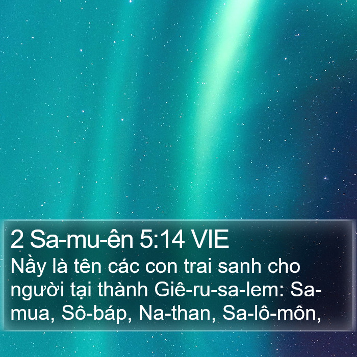 2 Sa-mu-ên 5:14 VIE Bible Study