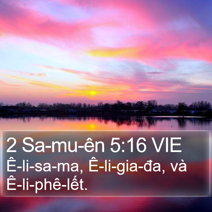 2 Sa-mu-ên 5:16 VIE Bible Study