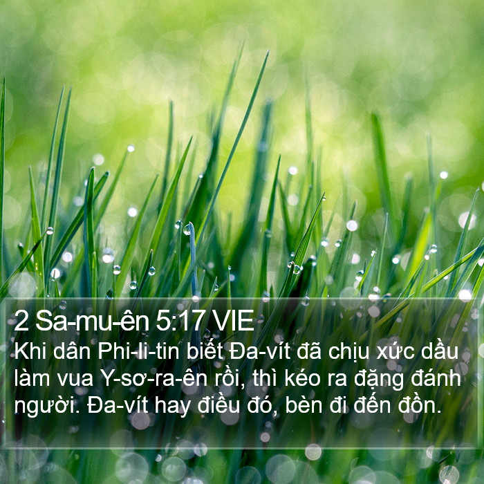 2 Sa-mu-ên 5:17 VIE Bible Study