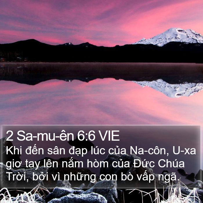 2 Sa-mu-ên 6:6 VIE Bible Study