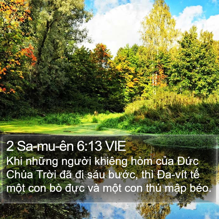 2 Sa-mu-ên 6:13 VIE Bible Study