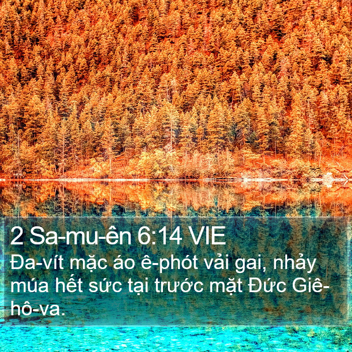 2 Sa-mu-ên 6:14 VIE Bible Study