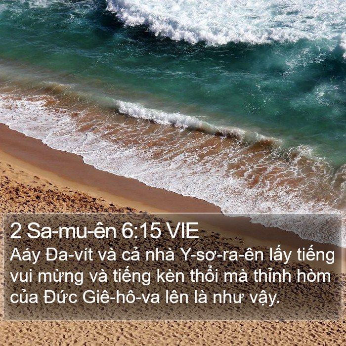 2 Sa-mu-ên 6:15 VIE Bible Study