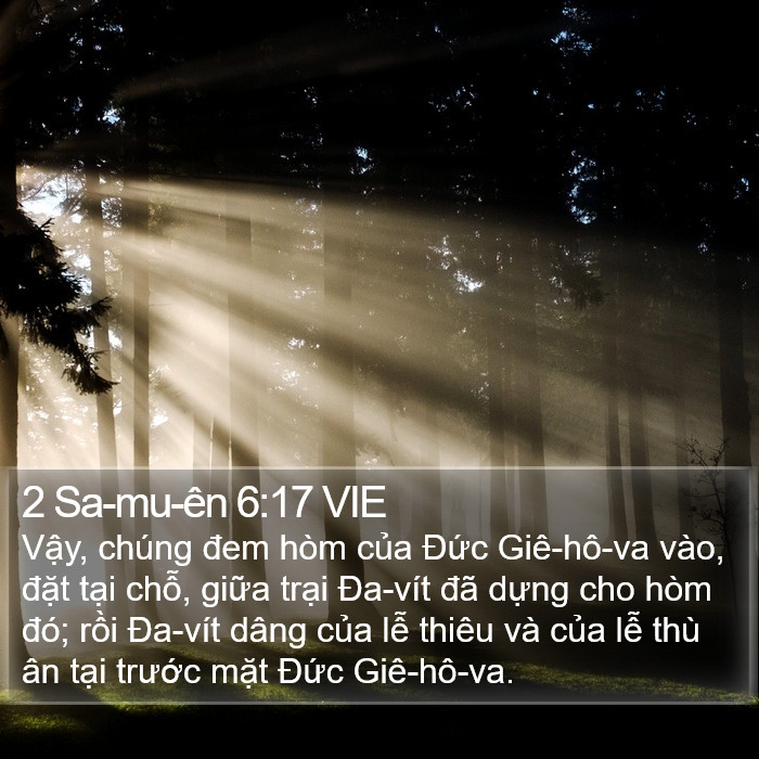 2 Sa-mu-ên 6:17 VIE Bible Study