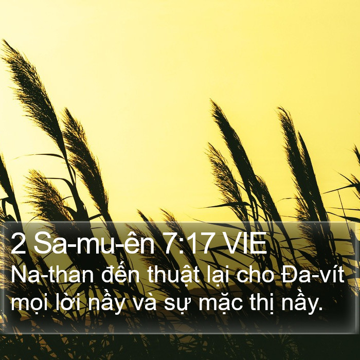 2 Sa-mu-ên 7:17 VIE Bible Study