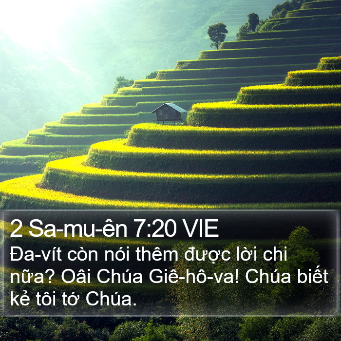 2 Sa-mu-ên 7:20 VIE Bible Study