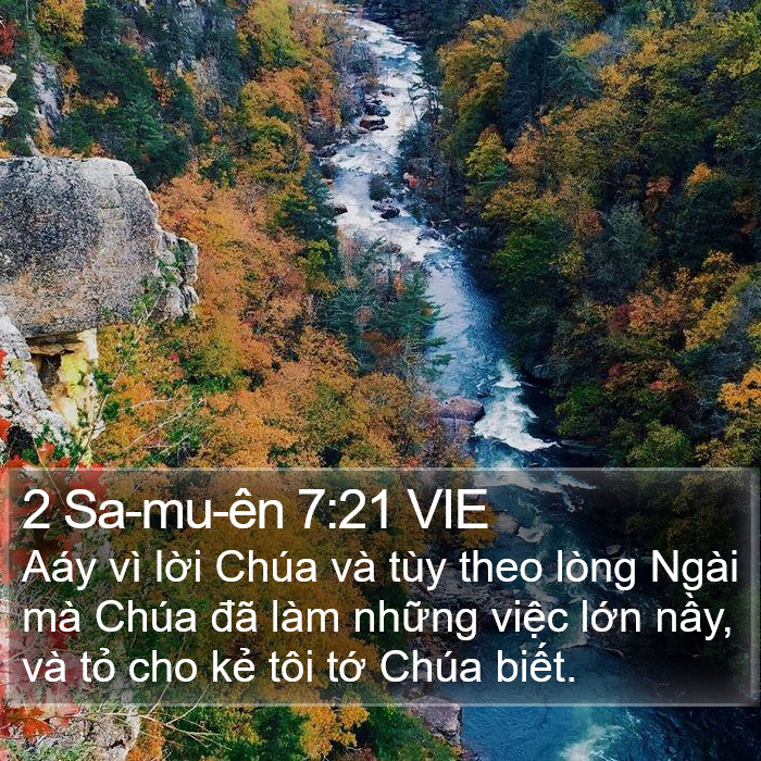 2 Sa-mu-ên 7:21 VIE Bible Study