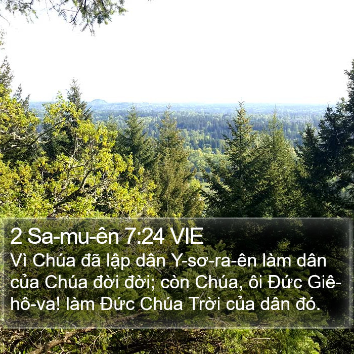 2 Sa-mu-ên 7:24 VIE Bible Study