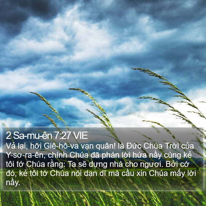 2 Sa-mu-ên 7:27 VIE Bible Study